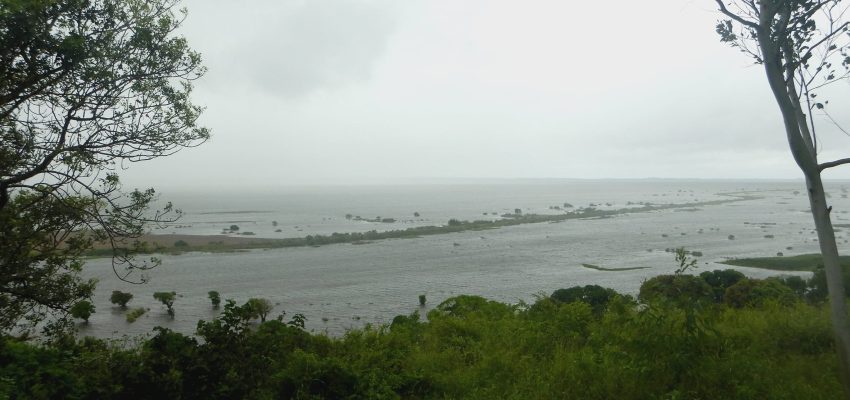 DSCN9996