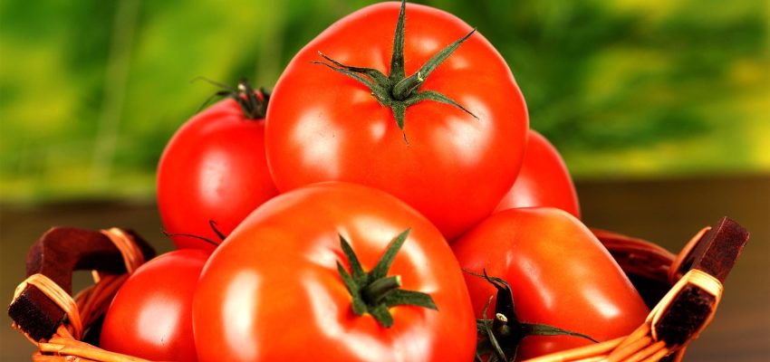 Tomate