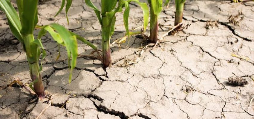 Projeção de seca histórica ameaça centro e sul de Moçambique